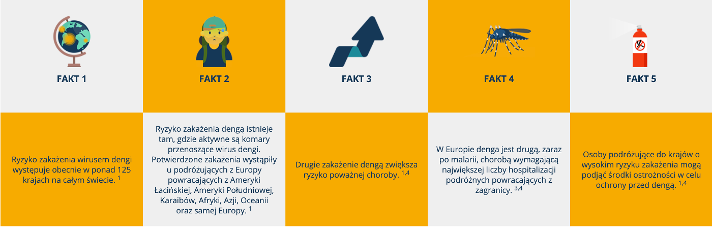 5 faktów na temat dengi
